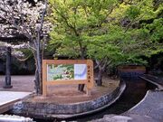 清水の湧水の写真1