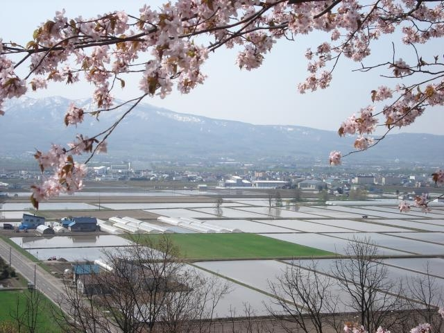 丸山公園展望台