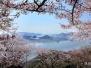 竜王山展望台の写真2