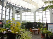 九州電力(株)苓北発電所の写真2