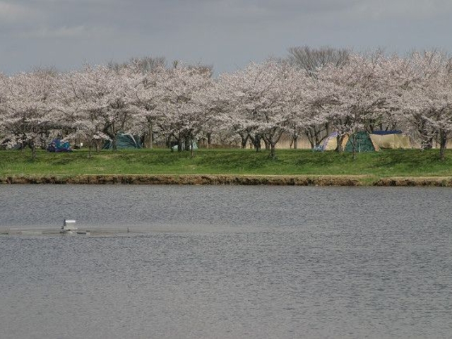 南の池公園キャンプ場