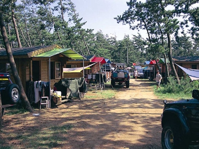 大島キャンプ場_大島キャンプ場