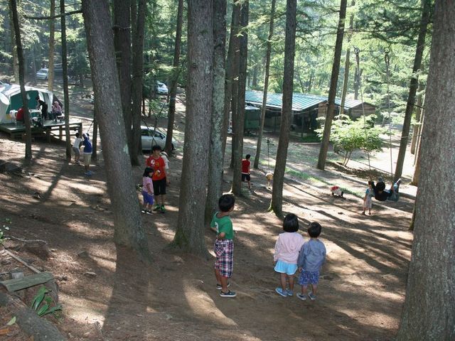 アスレチック広場_woodpecker