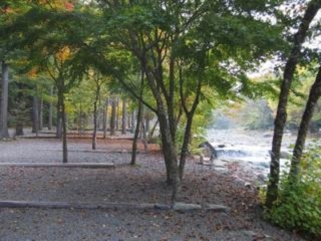 滝原オートキャンプ場の写真1