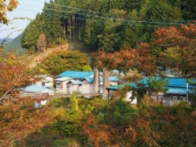 道志川荘キャンプ場の写真1