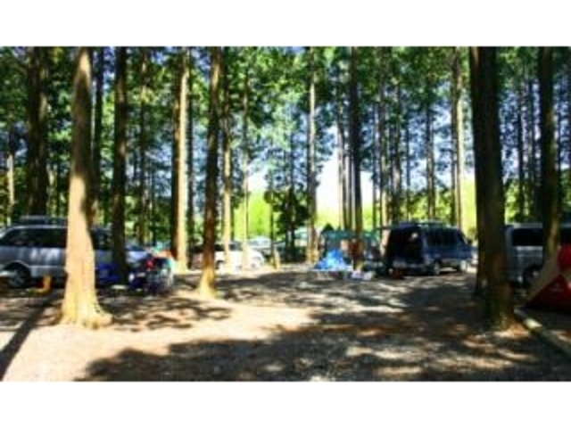 西富士オートキャンプ場_西富士オートキャンプ場