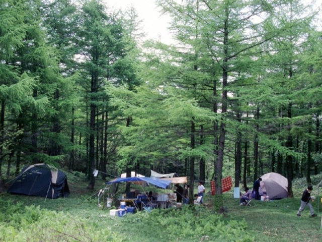 道後山キャンプ場の写真1