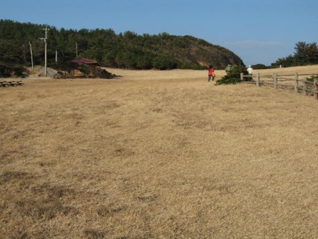 大賀キャンプ場の写真1