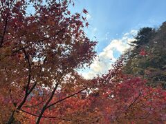 掛け軸畑の写真1