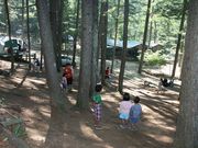 woodpeckerの写真3