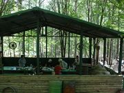 woodpeckerの写真4