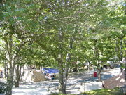 のとろ原キャンプ場の写真1