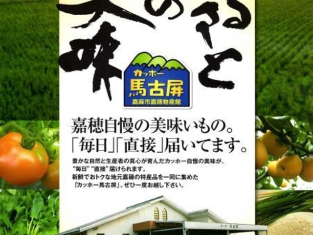 カッホー馬古屏_カッホー馬古屏