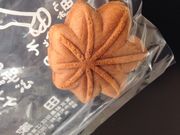 山田家の写真3