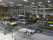 農協市場館パスカルさんだの写真3