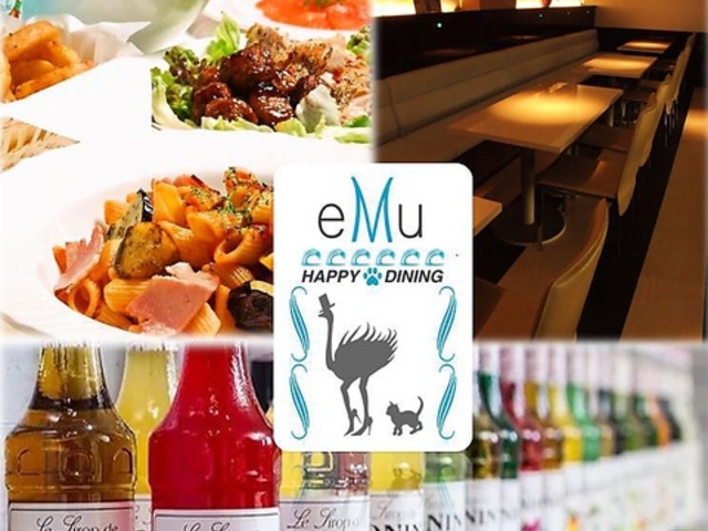 eMu エミュー 北浦和の写真1