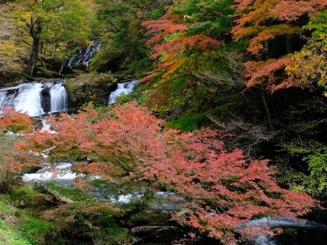 紅葉を迎える江竜田の滝_江竜田の滝
