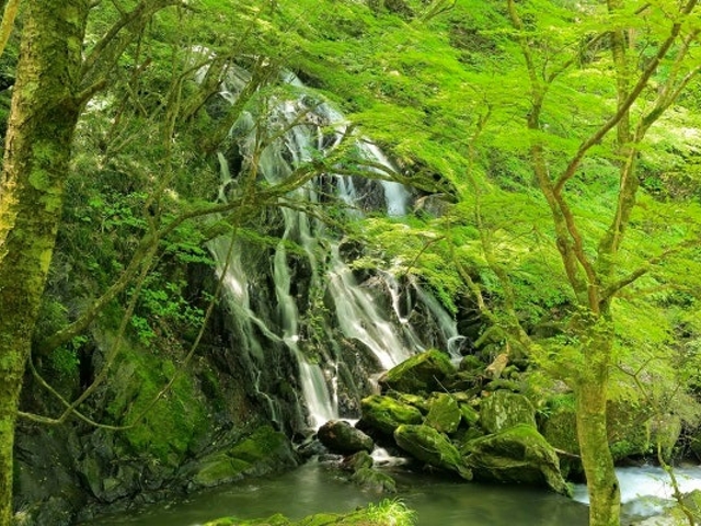 新緑の江竜田の滝_江竜田の滝