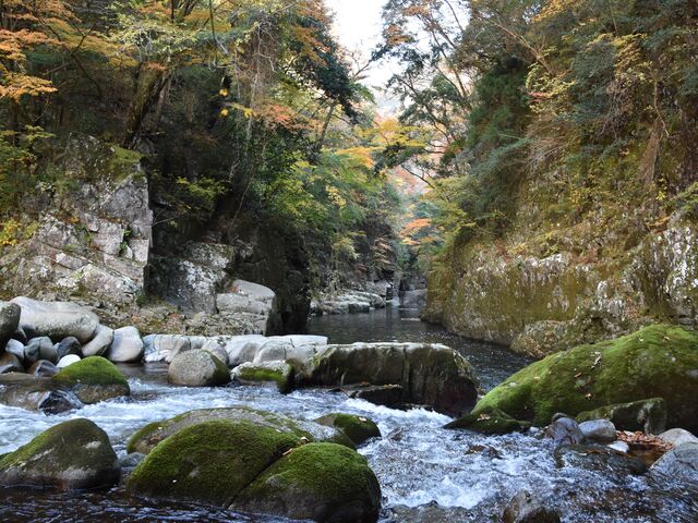 木戸川渓谷の写真1