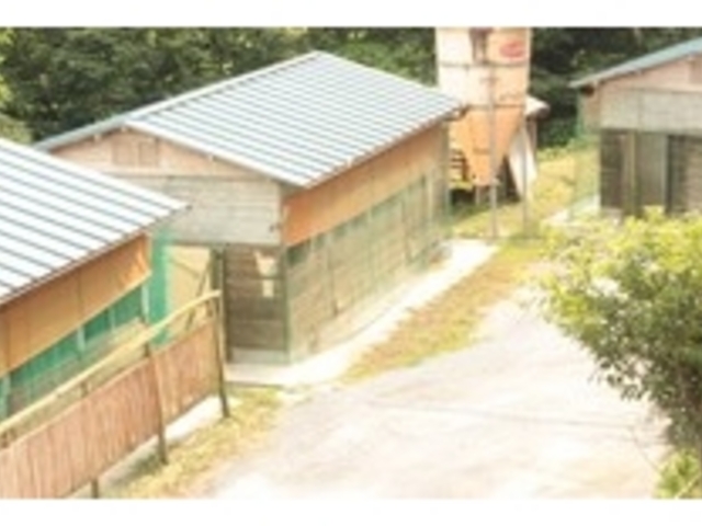 奥久慈しゃも生産組合直売所