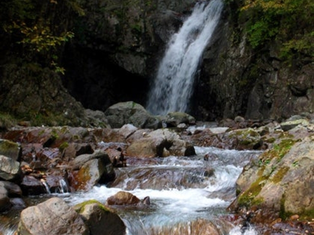 大芦渓谷の写真1