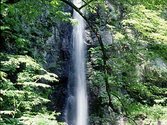 早滝
