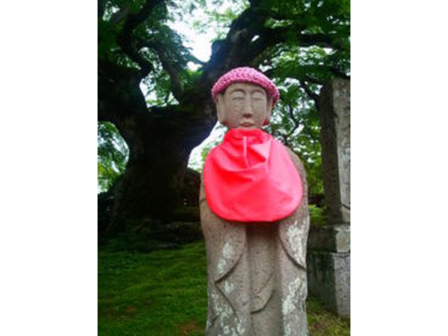 札所八番 西善寺のコミネカエデ