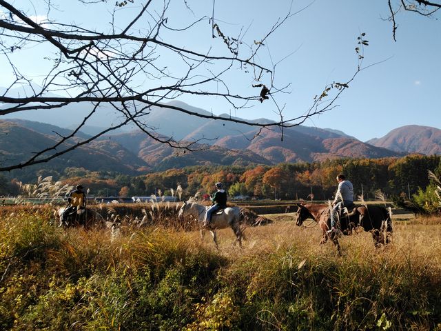 四方を山々に囲まれた大自然にある牧場_ホワイトサドル