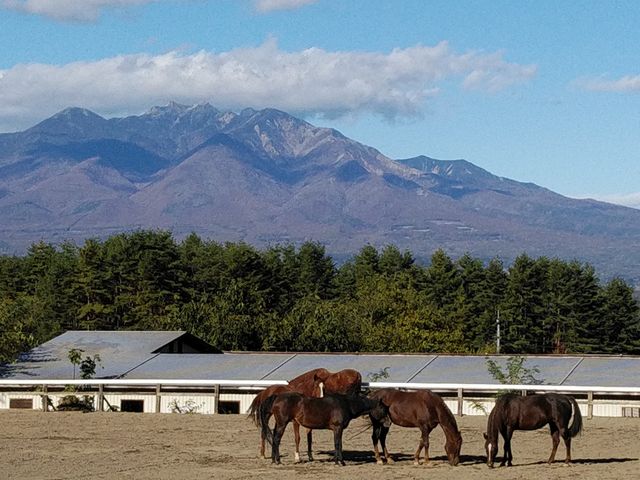 八ヶ岳を馬場から望む_ホワイトサドル