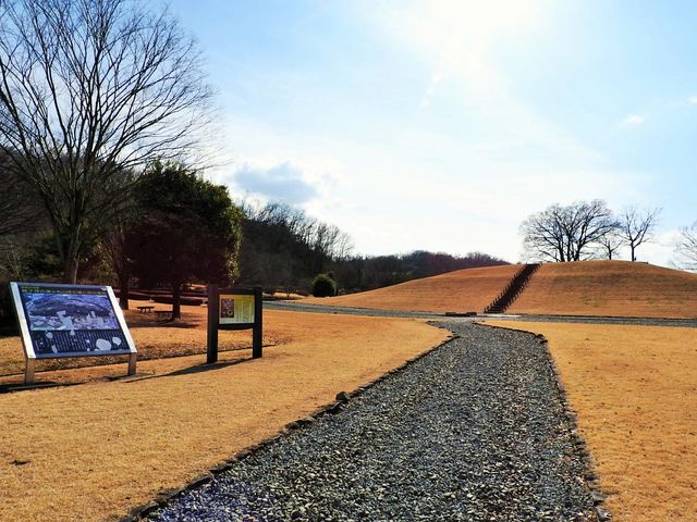 曽根丘陵公園
