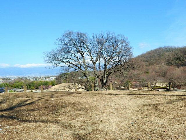 曽根丘陵公園