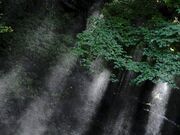 江竜田の滝の写真2