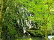 江竜田の滝の写真1