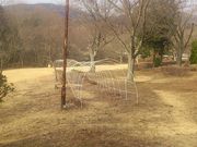 高萩市森林公園(お手まき記念の森)の写真3
