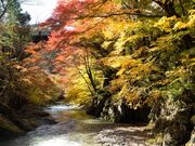 大芦渓谷の写真2