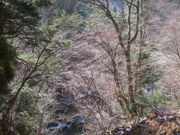 八方ヶ原の写真3