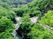 潜竜峡の新緑と紅葉の写真1