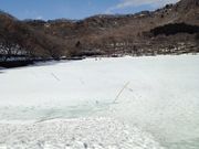 青木旅館の写真2