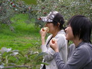 陣平農園の写真2