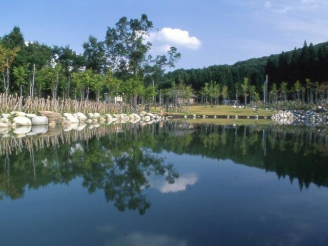 健康の森横根の写真1