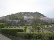 蟻尾山公園の桜の写真2