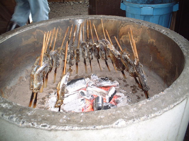 釣った魚は塩焼きにできます。炭火でじっくりと焼くため、約40分程度お時間をいただきます。_発知溪流つりセンター