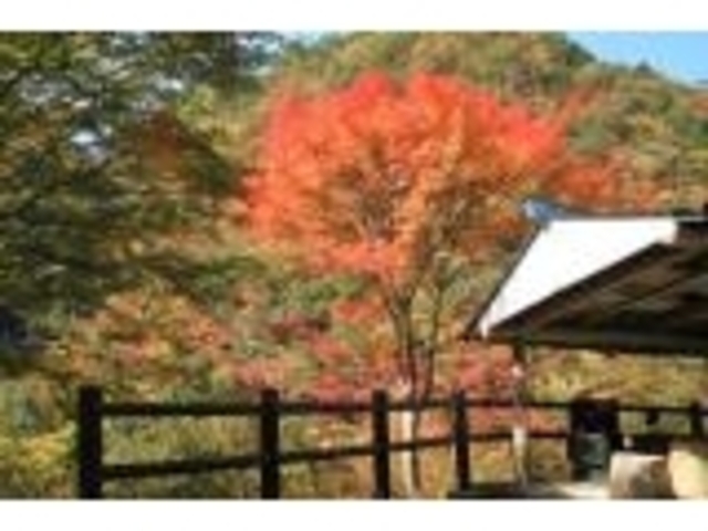 奥大田渓谷の写真1