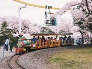 松ヶ岡公園の桜の写真1