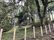 アテの元祖の写真1