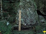 天誅組吉村寅太郎の墓の写真1