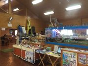 四万十川の駅カヌー館遊覧船【運休中】の写真2