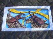 大谷山自然公園の写真2