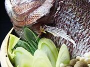 海だよりの写真1