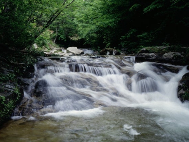 千翁川の写真1